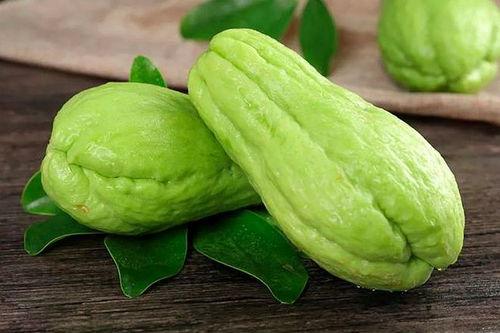 佛手瓜吃嫩苗,绿色健康的新食尚 第1张 佛手瓜吃嫩苗,绿色健康的新食尚 第1张